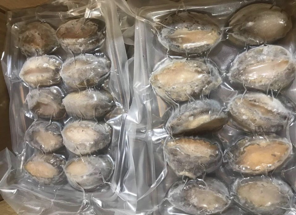 Bào ngư đông lạnh