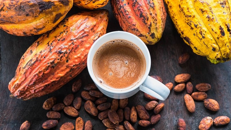 mua hạt cacao rang