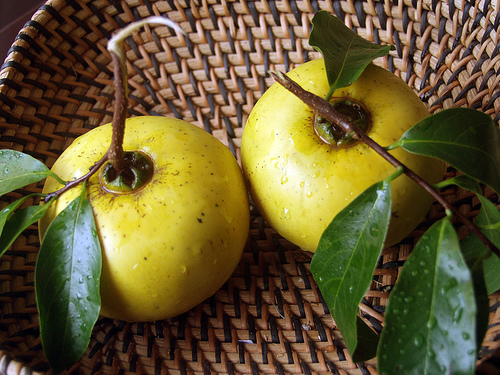 mua quả thị thơm