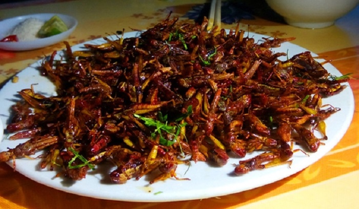 Cách chế biến món dế chiên giòn