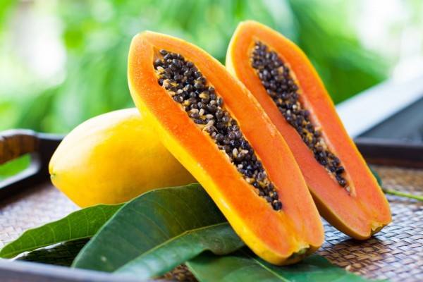 Giá trị dinh dưỡng của Đu đủ A Cón Vũng Tàu