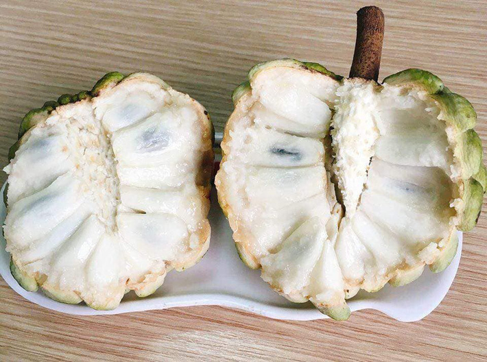 Na bở sạch trồng trên đồi