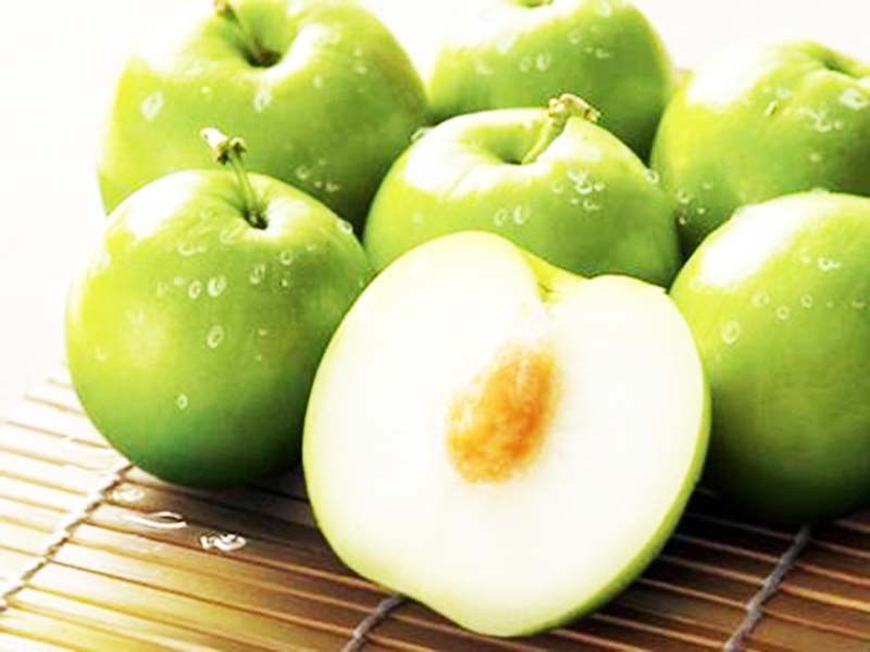 Cách phân biệt Táo gió Ninh Thuận