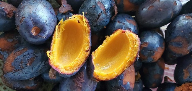 Giới thiệu trám đen