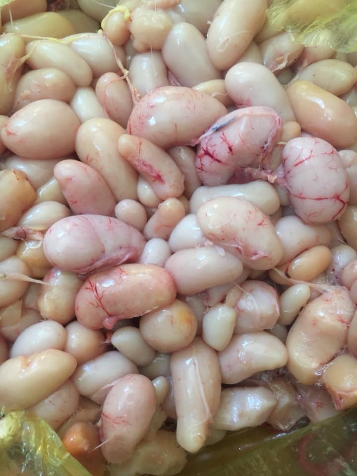 Bảo quản kê chim như thế nào 