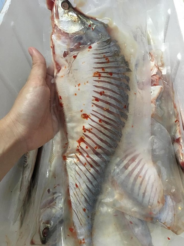 Cá thác lác rút xương