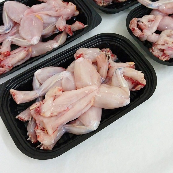 Công dụng của thịt ếch đối với sức khỏe