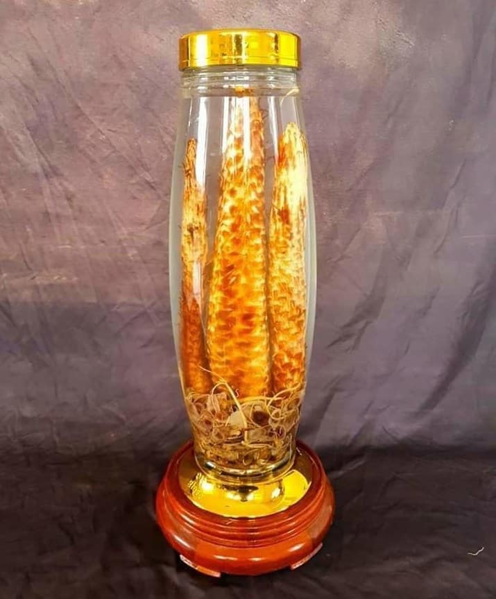 Cách ngâm rượu nhục thung dung