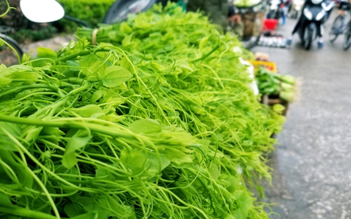 Dinh dưỡng trong rau bò khai