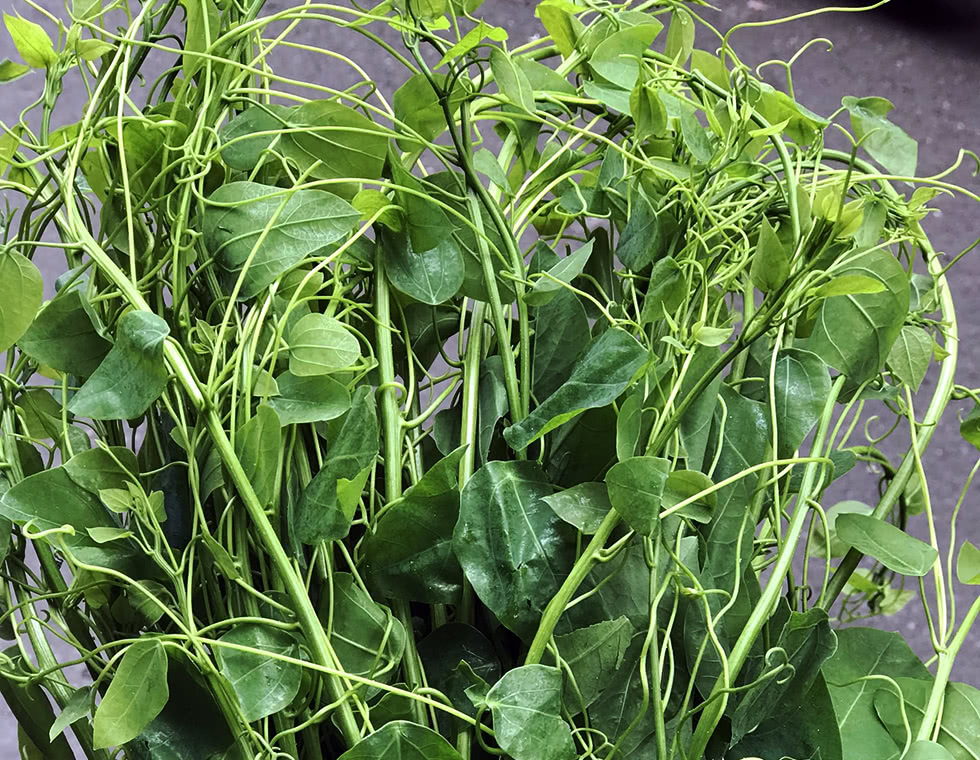 Rau bò khai nấu như thế nào?