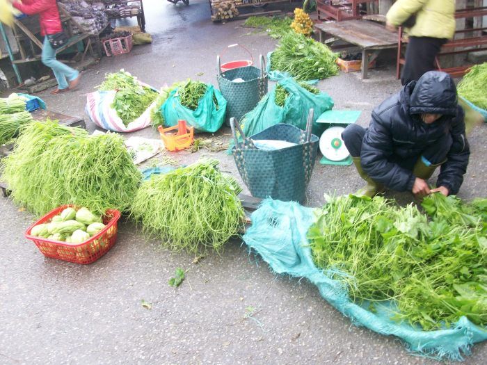 Ngọn su su được bày bán ở Tam đảo