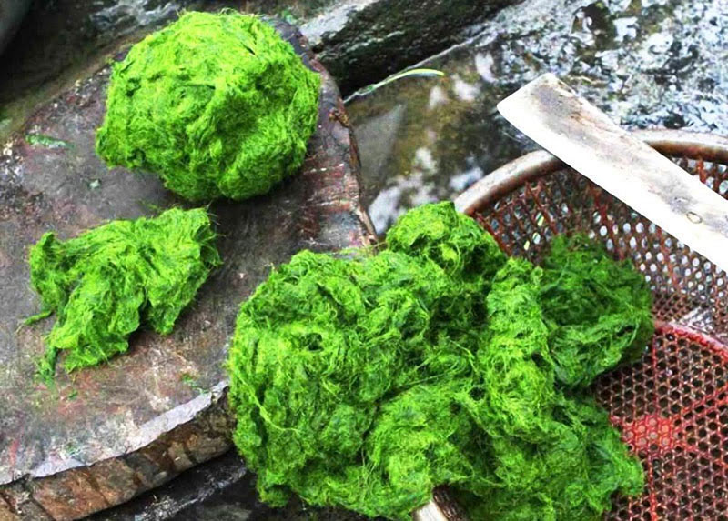 Cách chế biến rêu đá