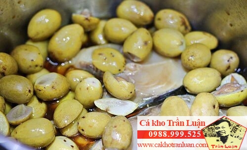 quả trám phú thọ