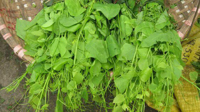 Nguyên liệu cần có để làm rau bò khai xào tỏi