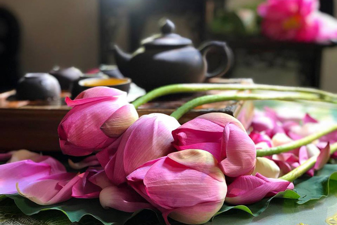 Cách pha trà sen hồ Tây ngon, không bị nồng chát